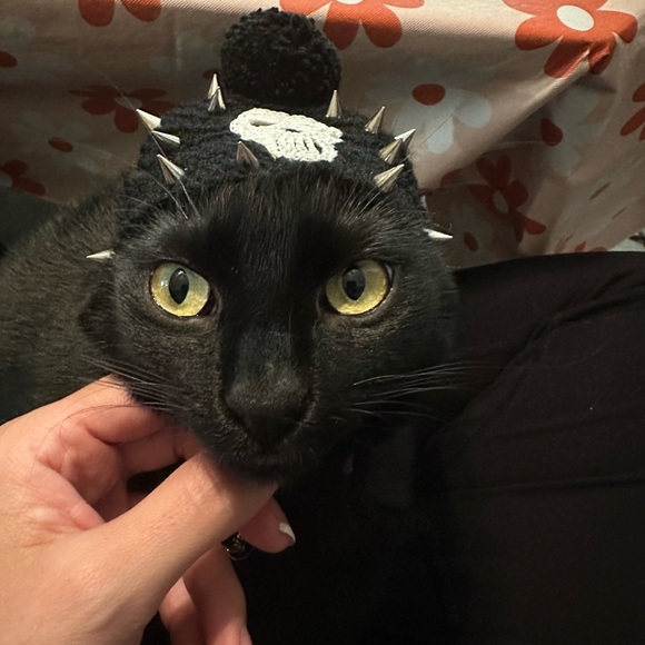 Meet your Posher, Miss K Marie - Picture 3 of 6